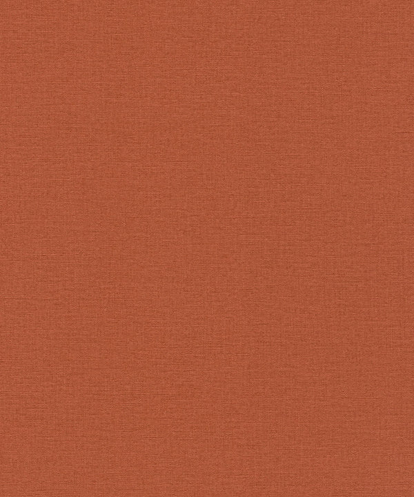 SALSA Wallpaper Pattern No 449051