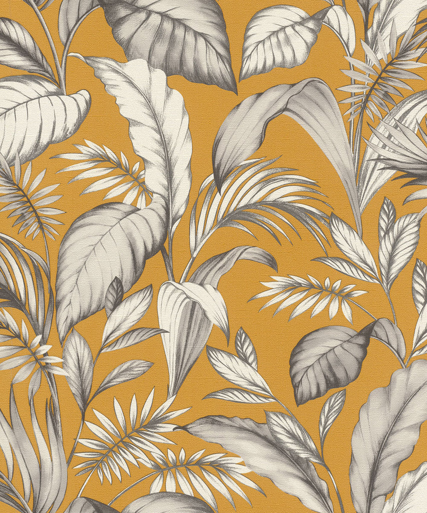 SALSA Wallpaper Pattern No 464764