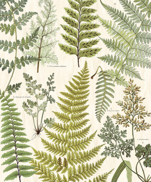 GEONATURE Wallpaper Pattern No E366104