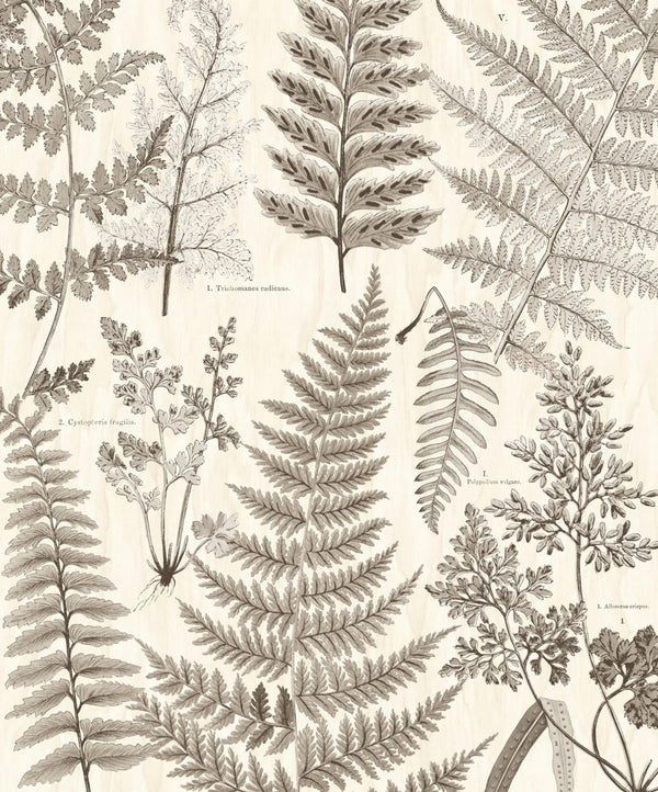 GEONATURE Wallpaper Pattern No E366105