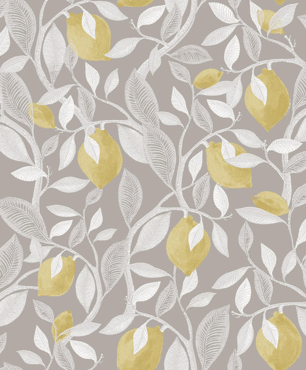 AQUILA Wallpaper Pattern No ILA103