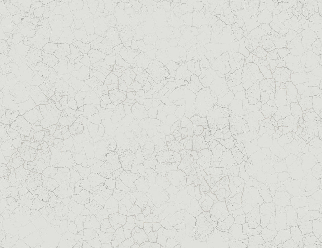 TRANSITION Wallpaper Pattern No FJ31208