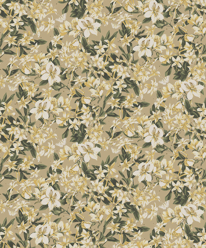 KENT Wallpaper Pattern No KEN202