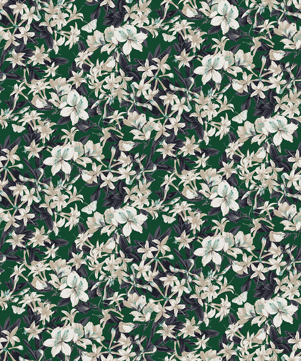 KENT Wallpaper Pattern No KEN207