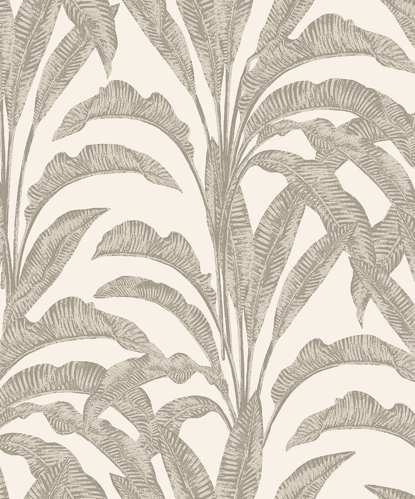 NOMADE Wallpaper Pattern No M61907